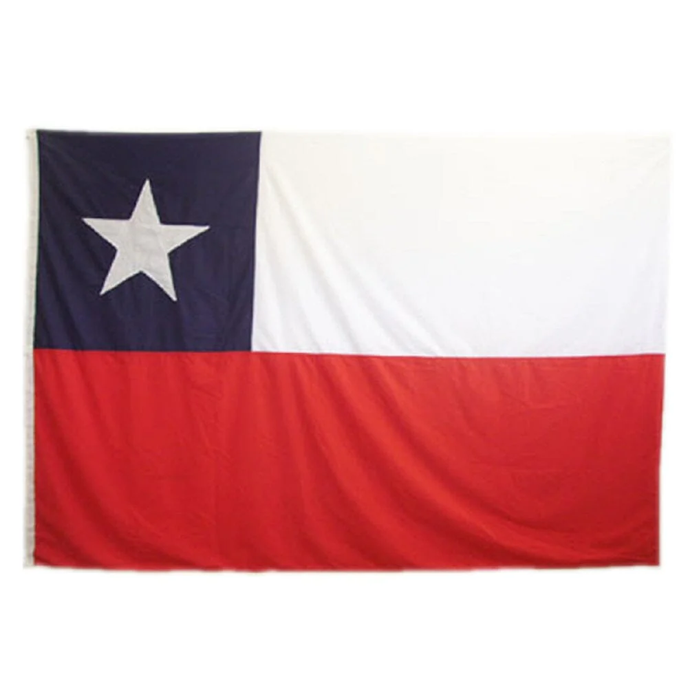bandera chilena 80x120cm - Imagen 2